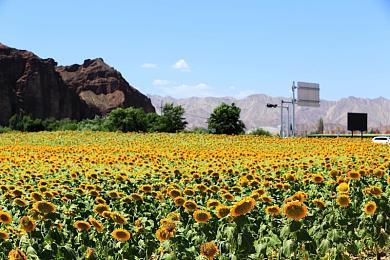 凛冬已至！2K促销活动火热进行中