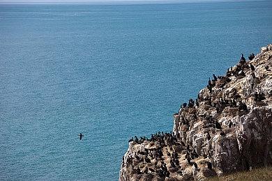 类魂新游戏《死亡约束》面向PC平台公布